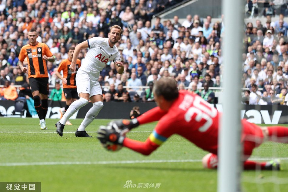 动的发展树 动的发展树