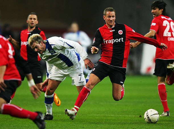 不仅展示了 不仅展示了